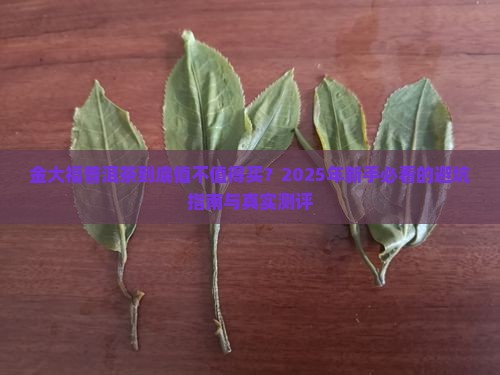 了解金大福普洱茶