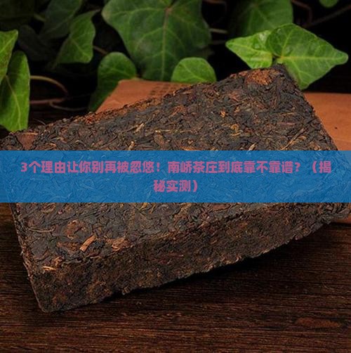 云南普洱茶南峤茶庄