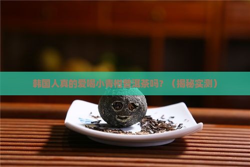 韩国人喝小青柑普洱茶吗
