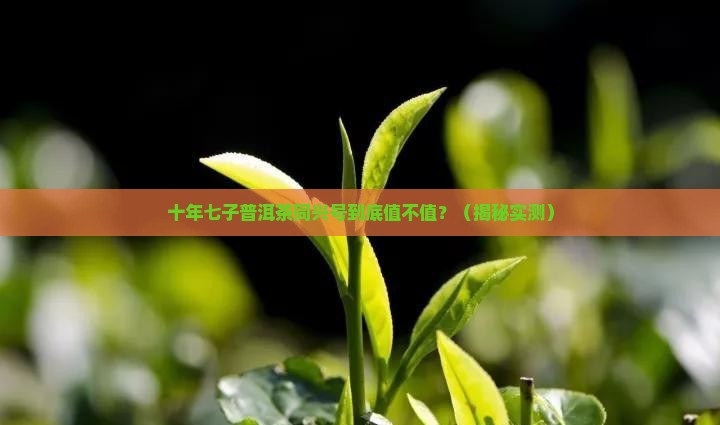十年七子普洱茶同兴号价值
