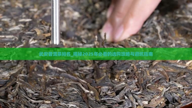 武安普洱茶排名