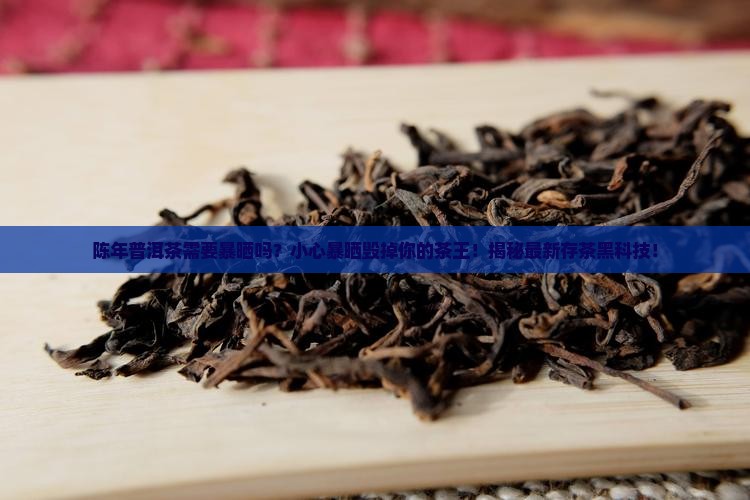 陈年普洱茶需要暴晒吗