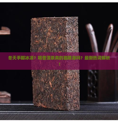 普洱茶适合冬天喝么