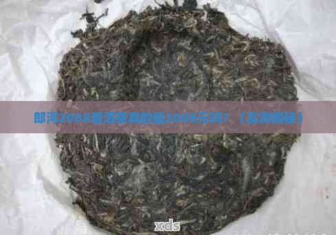 郎河2008普洱茶