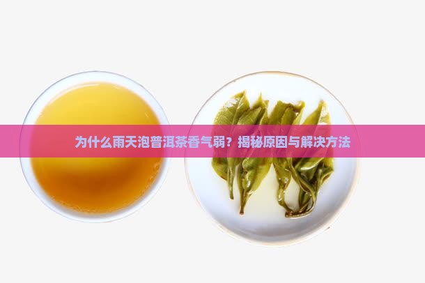 为什么雨天泡普洱茶香气弱 为什么雨天泡普洱茶香气弱