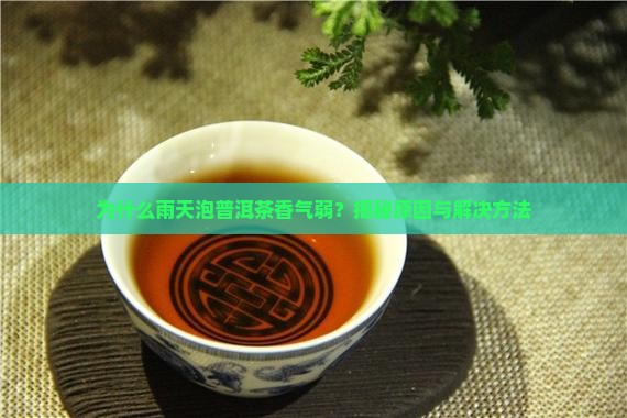 为什么雨天泡普洱茶香气弱 为什么雨天泡普洱茶香气弱