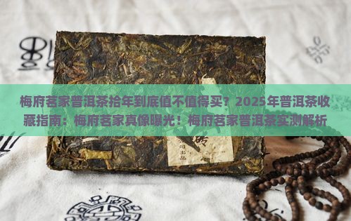 梅府茗家普洱茶拾年