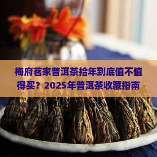 梅府茗家普洱茶拾年