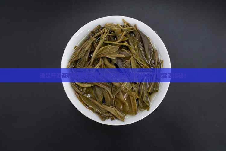 普洱茶的知名厂家