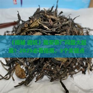 雅安茶厂的问题