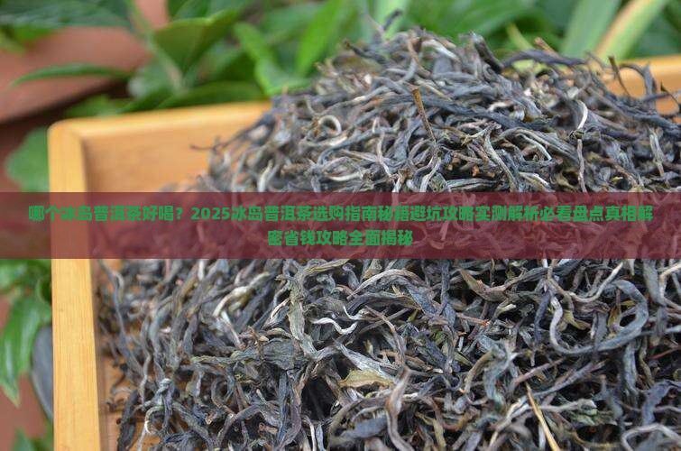 哪个冰岛普洱茶好喝