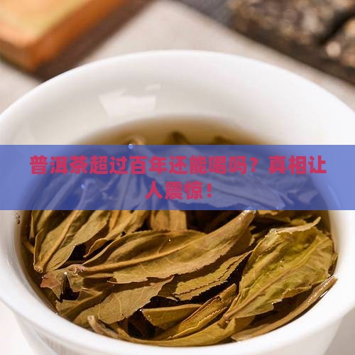 普洱茶超过百年还能喝吗