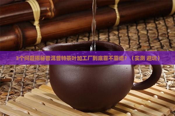 普洱普特茶叶加工厂