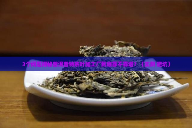 普洱普特茶叶加工厂