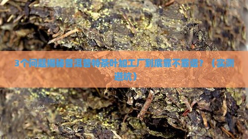 普洱普特茶叶加工厂