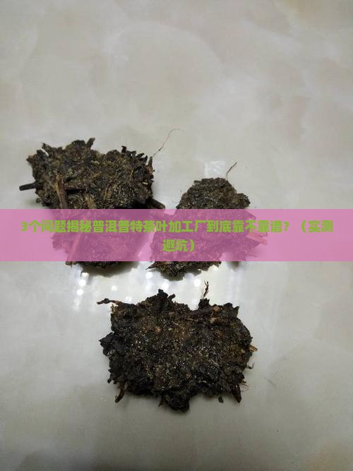 普洱普特茶叶加工厂