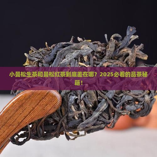 小曼松生茶与曼松红茶区别