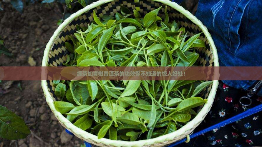 绿茶加青柑普洱茶的功效