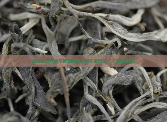 易武正山八角亭普洱茶