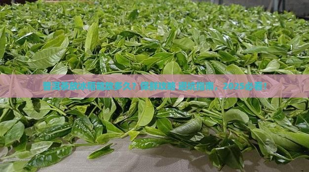 普洱茶放冰箱多长时间