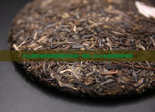 什么茶有减肥降脂暖胃的功能