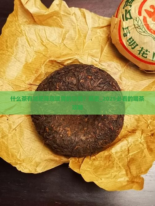 什么茶有减肥降脂暖胃的功能