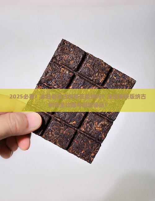 冰岛老寨古树茶在版纳吗