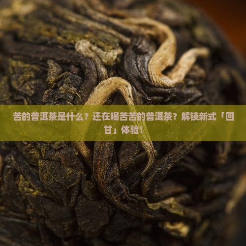苦的普洱茶是什么