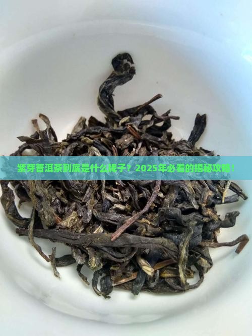 紫芽普洱茶是什么牌子