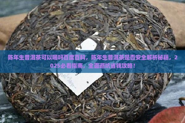 陈年生普洱茶可以喝吗百度百科