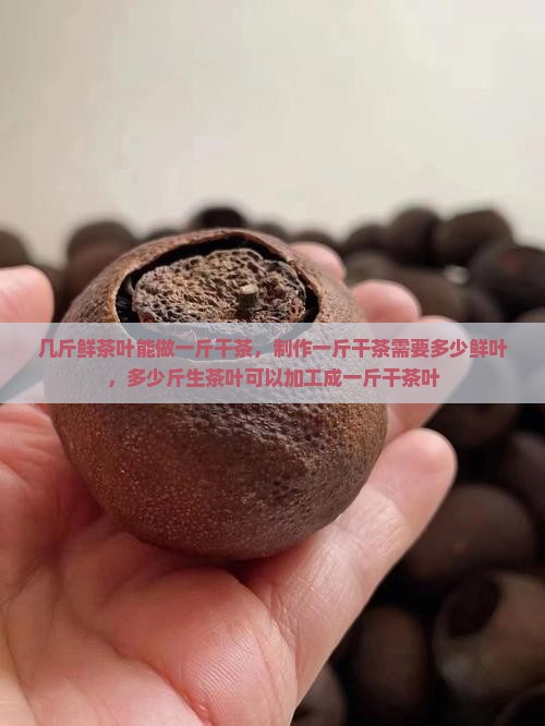 几斤鲜茶叶能做一斤干茶