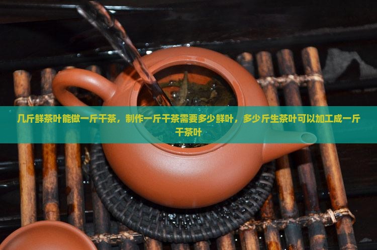 几斤鲜茶叶能做一斤干茶