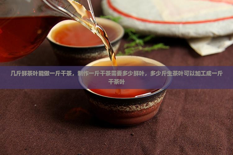 几斤鲜茶叶能做一斤干茶