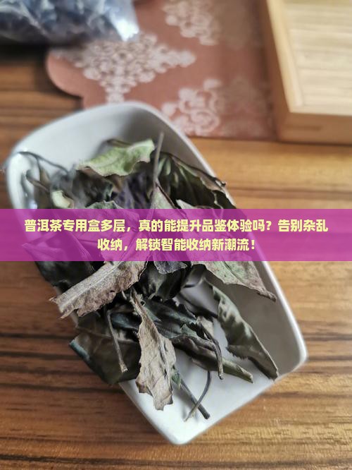 普洱茶专用盒多层