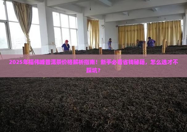 福伟峰普洱茶价格