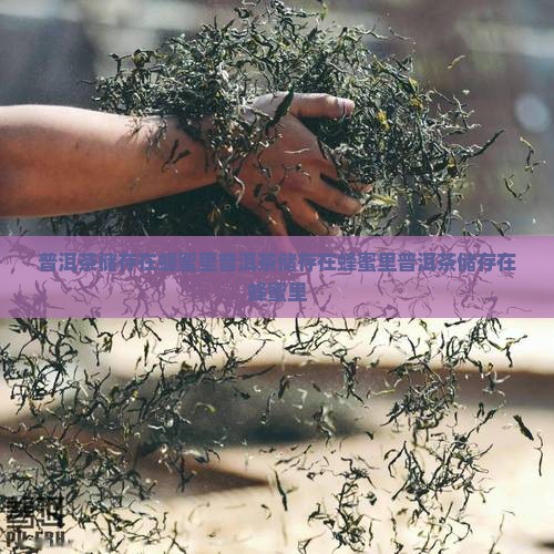 普洱茶储存在蜂蜜里