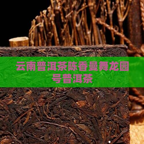 龙园号曼舞陈香普洱茶