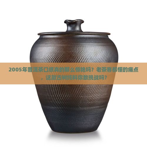2005年普洱茶口感