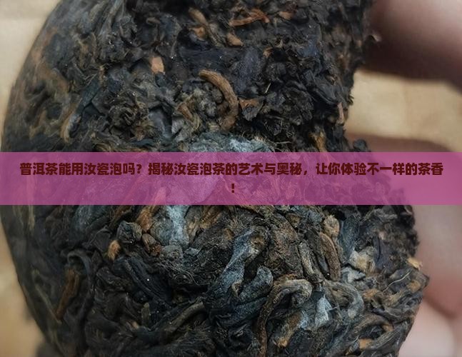 普洱茶能用汝瓷泡吗