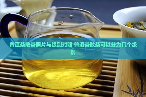 普洱茶散茶照片与级别对照