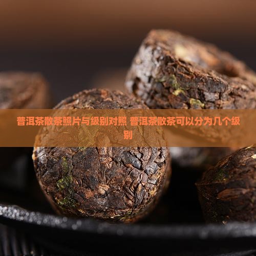普洱茶散茶照片与级别对照