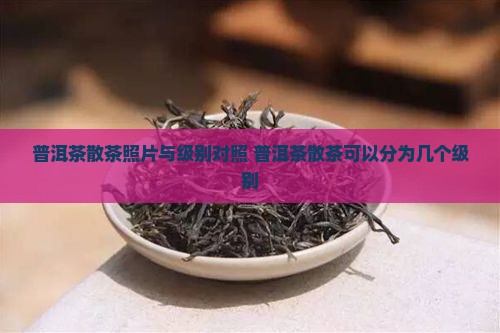 普洱茶散茶照片与级别对照