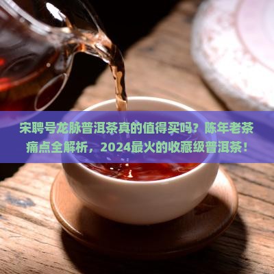 宋聘号龙脉普洱茶