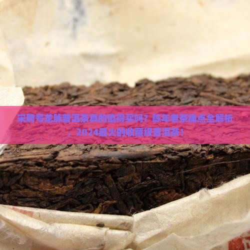 宋聘号龙脉普洱茶