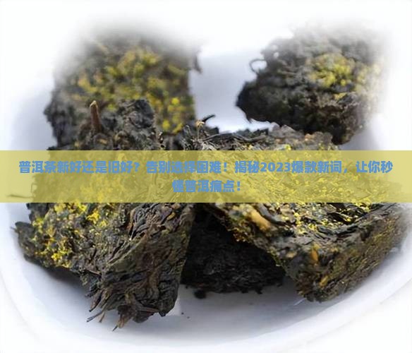 普洱茶新的好还是旧的好