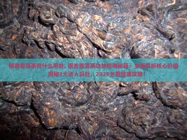 银杏普洱茶有什么用处