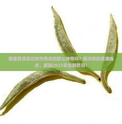 普通洱茶功效作用