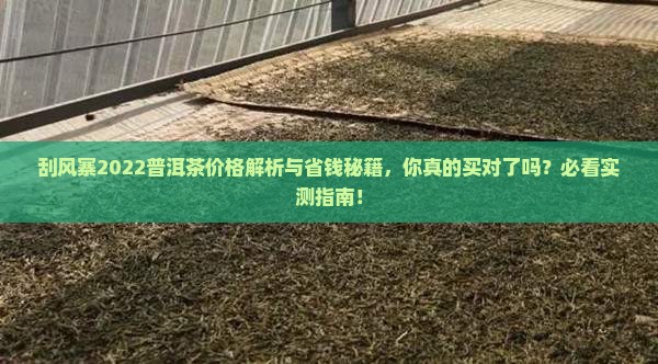刮风寨2022普洱茶价格