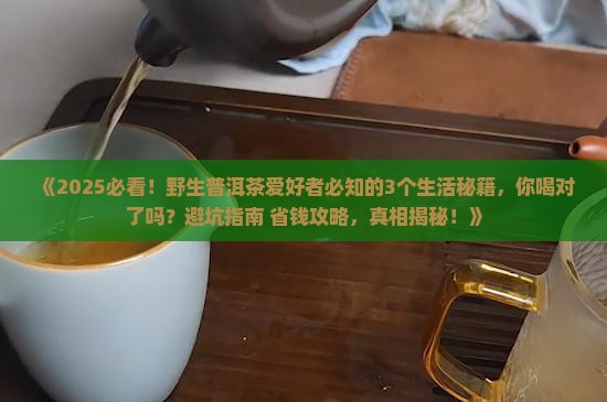 野生普洱茶的生活