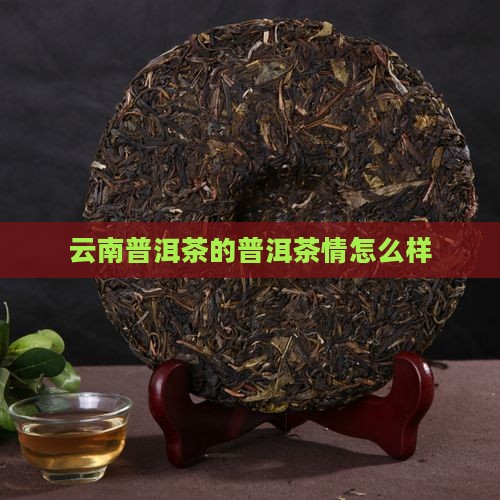 一杯云南普洱茶的茶情怎么样